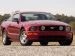 Ford Mustang 2005 Picture #16